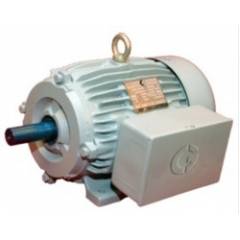Crompton 1 Phase 5 HP 4 Pole Foot Mounted Induction Motor, GF7005