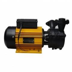 CRI 1.5HP Monoblock Domestic Pumps, Champee 150