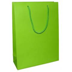 Aspen Matte Laminated Green Paper Bag, AC-024-020 (Pack of 96)