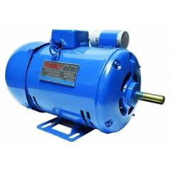 MXVOLT 0.75 HP 4 Pole Single Phase Foot Mounted FHP Induction Motor