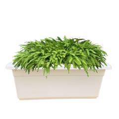 Fox B 9 Inch Rectangular White German Polymer Planter, TP-24X10X10