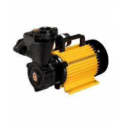 CRI 1HP Self Priming Monoblock Pump, Nr5