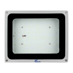 Forus 50W LED Flood Light (Pack of 3)