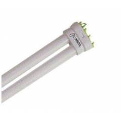 Crompton 36W 4P 6500K CFL