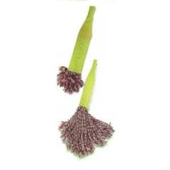 Allwin Bottle Floor Mop