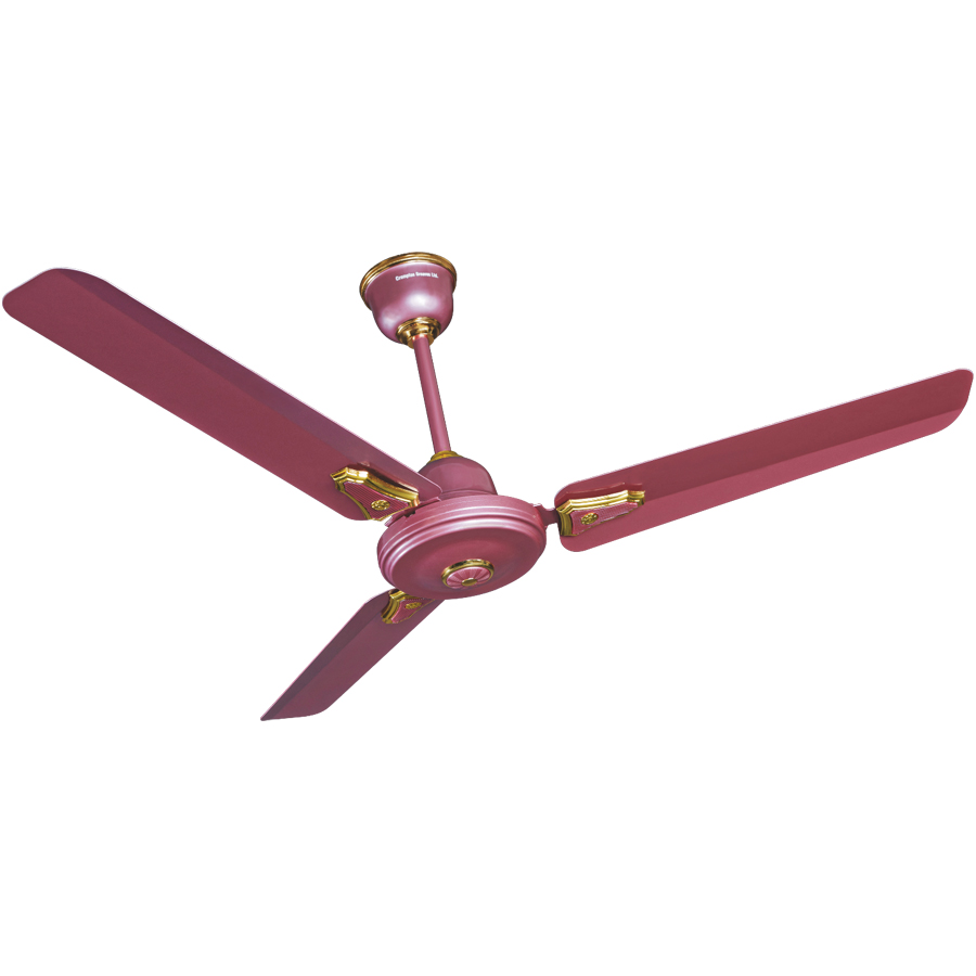 Buy Crompton Greaves Hs Decora Standard Deco Ceiling Fans Pink