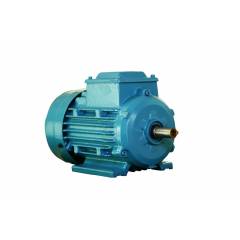 ABB 3HP 6 Pole Three Phase Foot Mounted Cast Iron IE2 Induction TEFC Motor, M2BAX112MA6 IE2