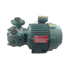 Texmo Taro 1HP Single Phase Self Priming Monoblock Pump, TSP 3