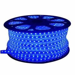 EGK 20m Blue 3014 SMD LED Rope Light with Adapter