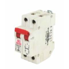 RC Bentex 100A Double Pole Isolator, X04D000006