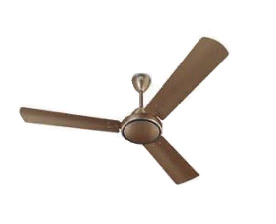 Buy Bajaj Speedster X 1200mm Silky Caramel Ceiling Fan Online At