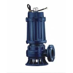 Blairs 1HP Cast Iron Double Channel Sewage Pump, CSVP 10-10-0.75