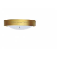Smart Sense 12W Golden Warm White LED Ceiling Lamp With Motion Sensor, MMS-SCL-12W-AA001