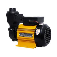 Usha MMB 2525 1HP Mini Monoblock Self Priming Pump