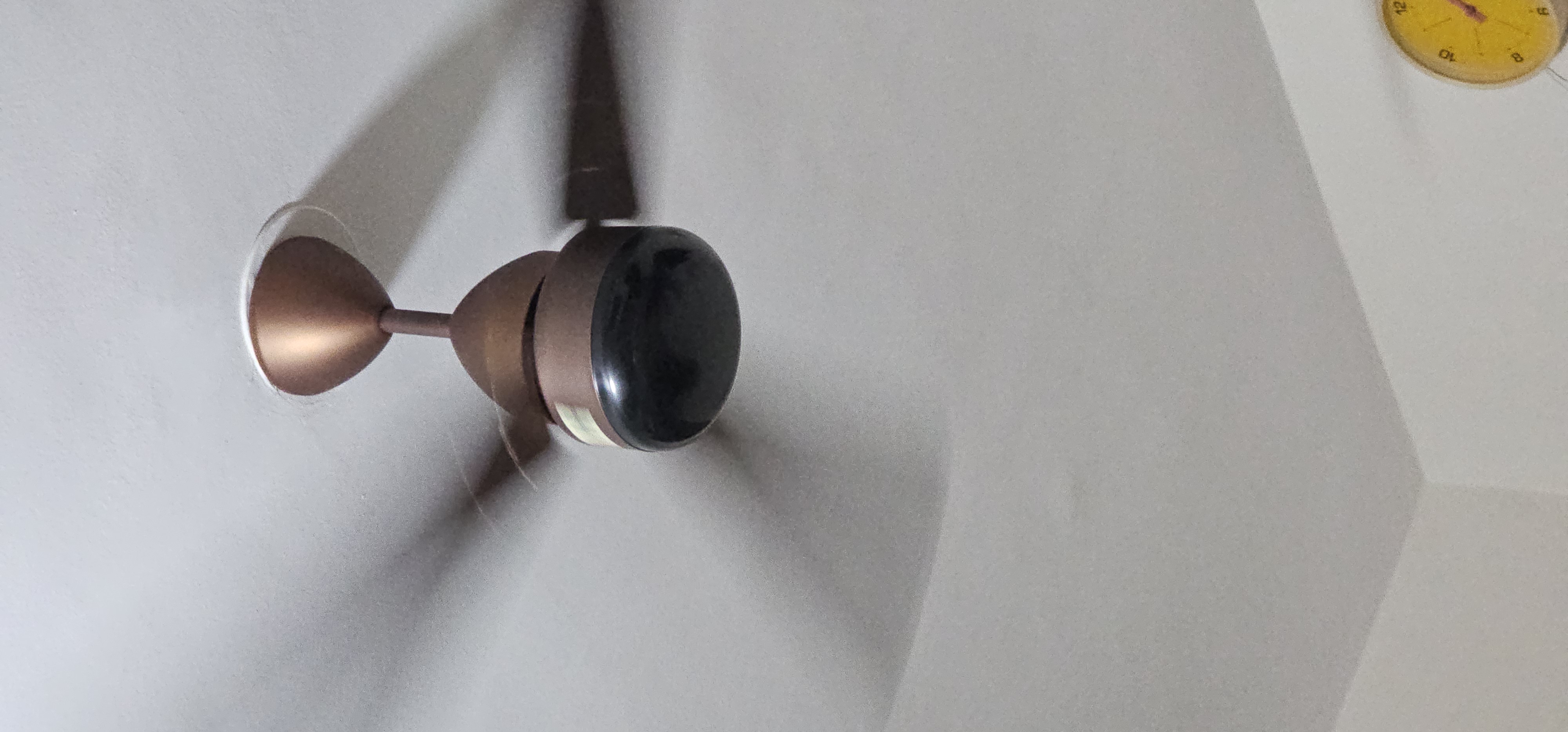Customer Review Image