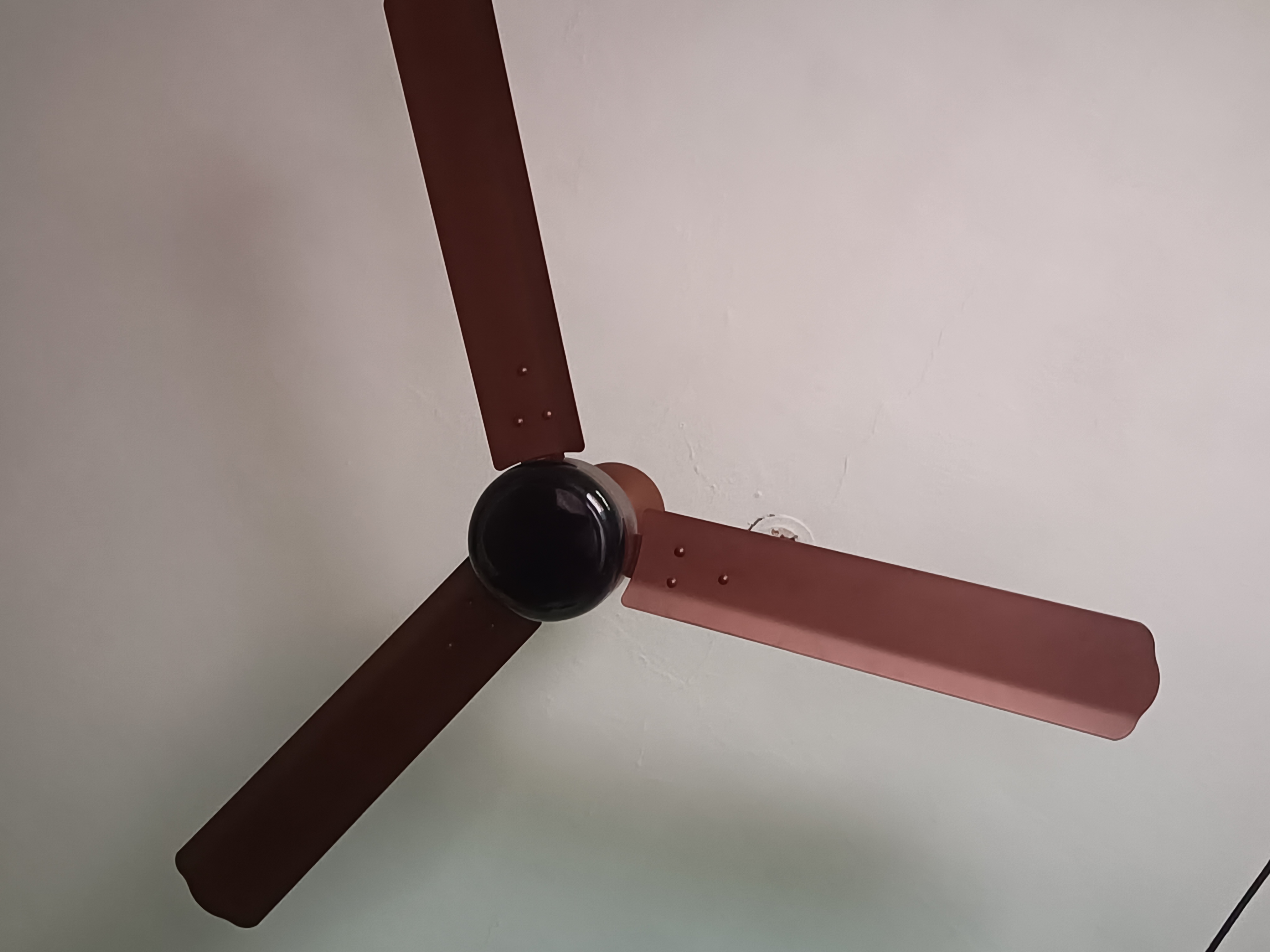 Customer Review Image