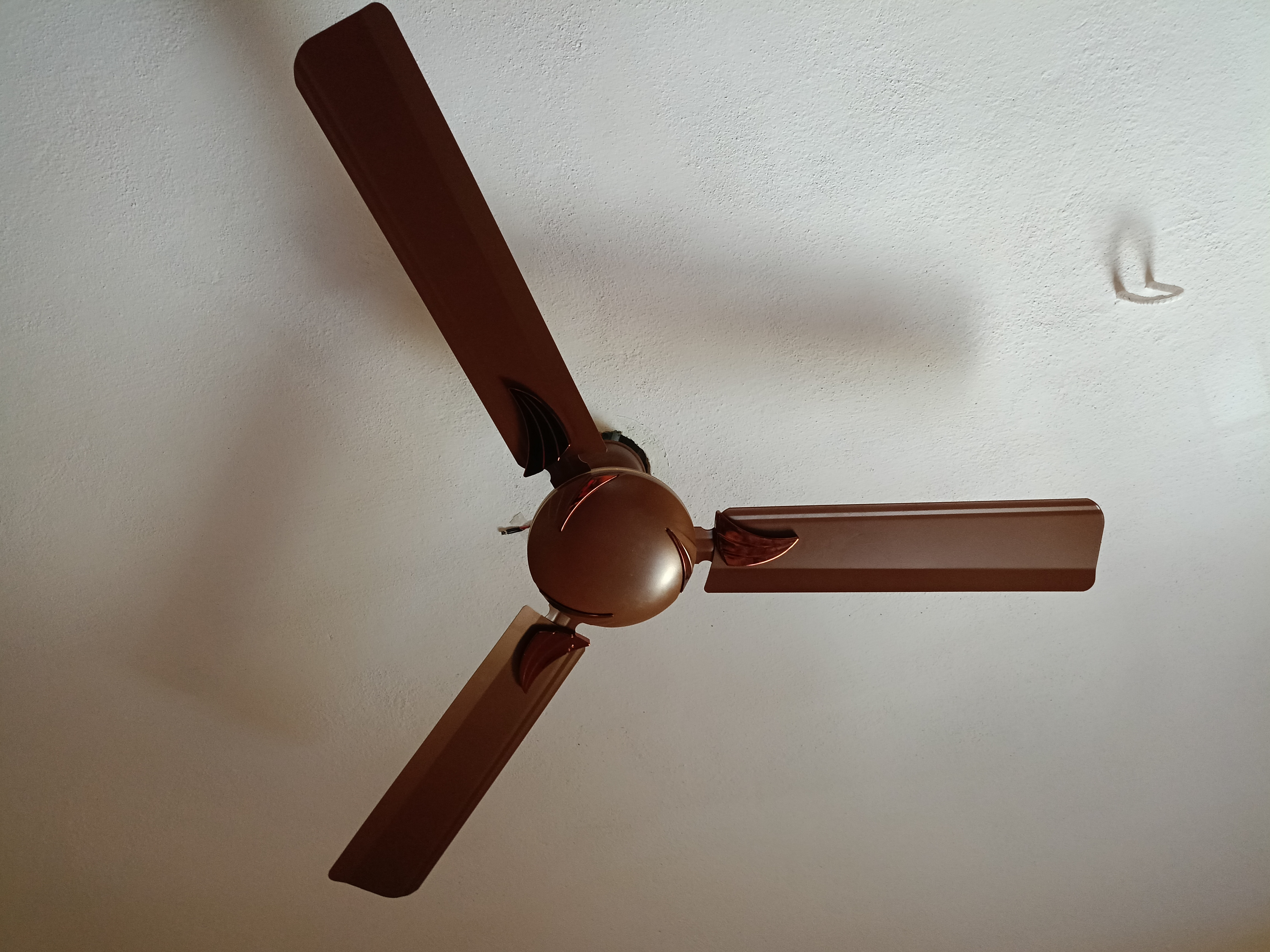 Customer Review Image