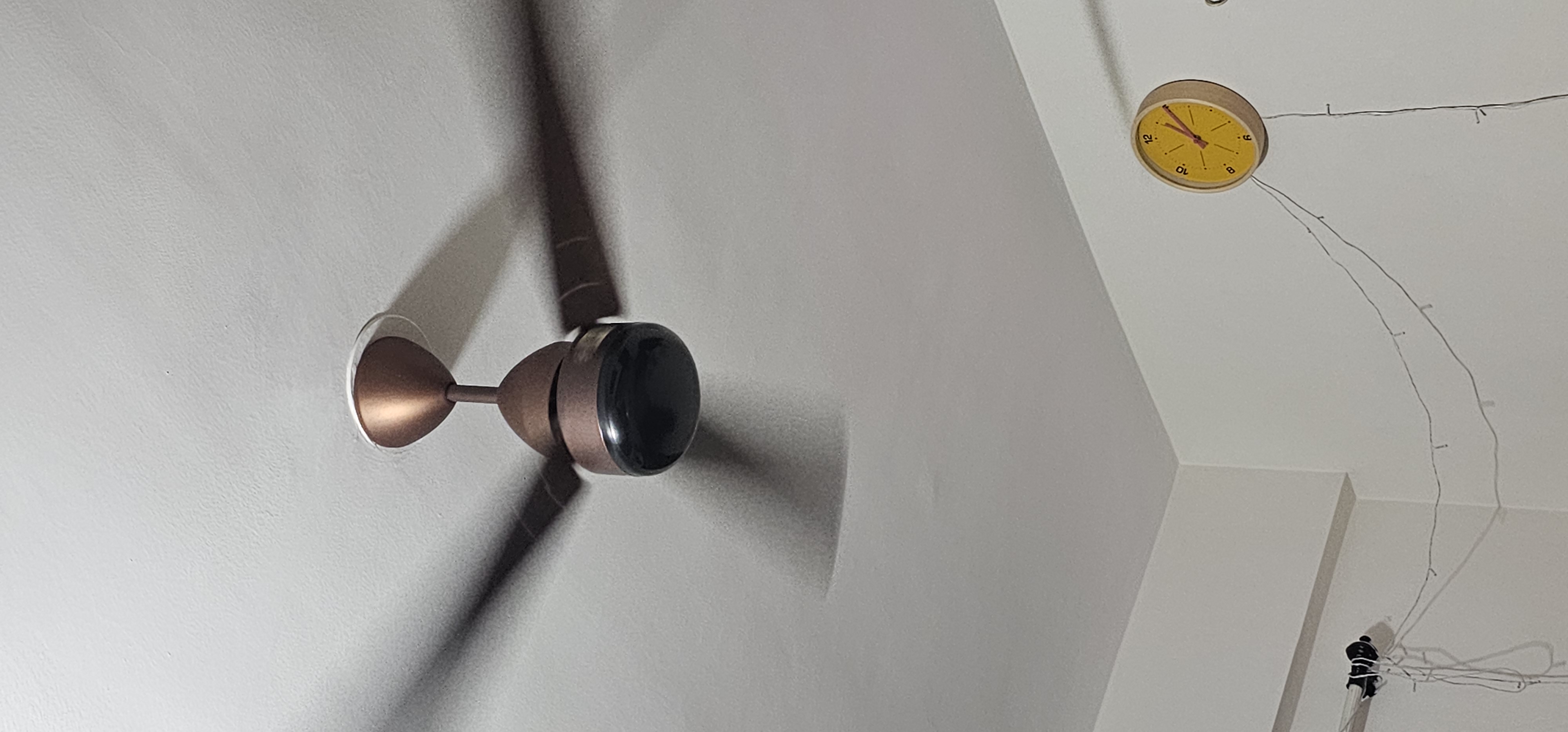 Customer Review Image