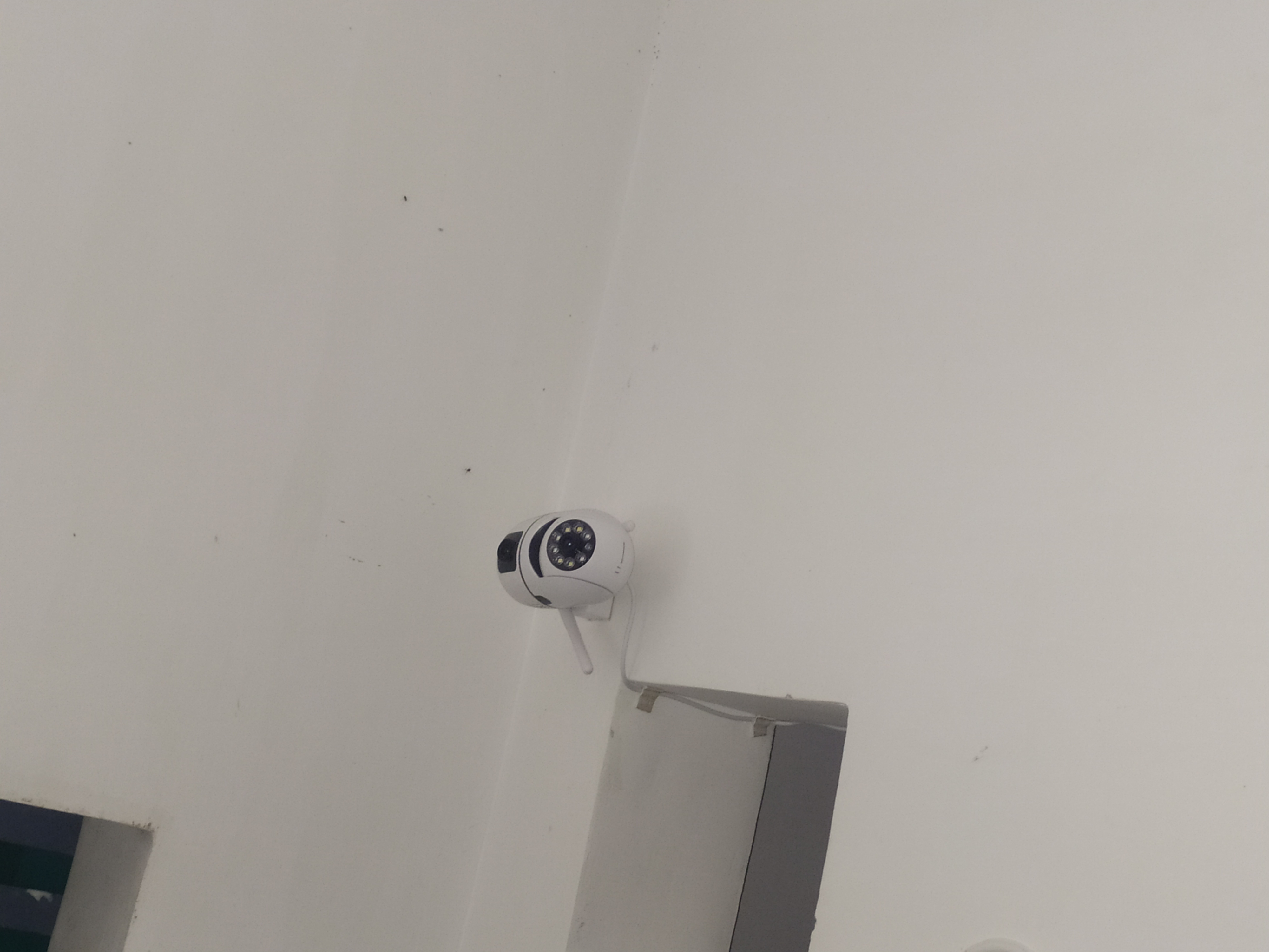 Customer Review Image