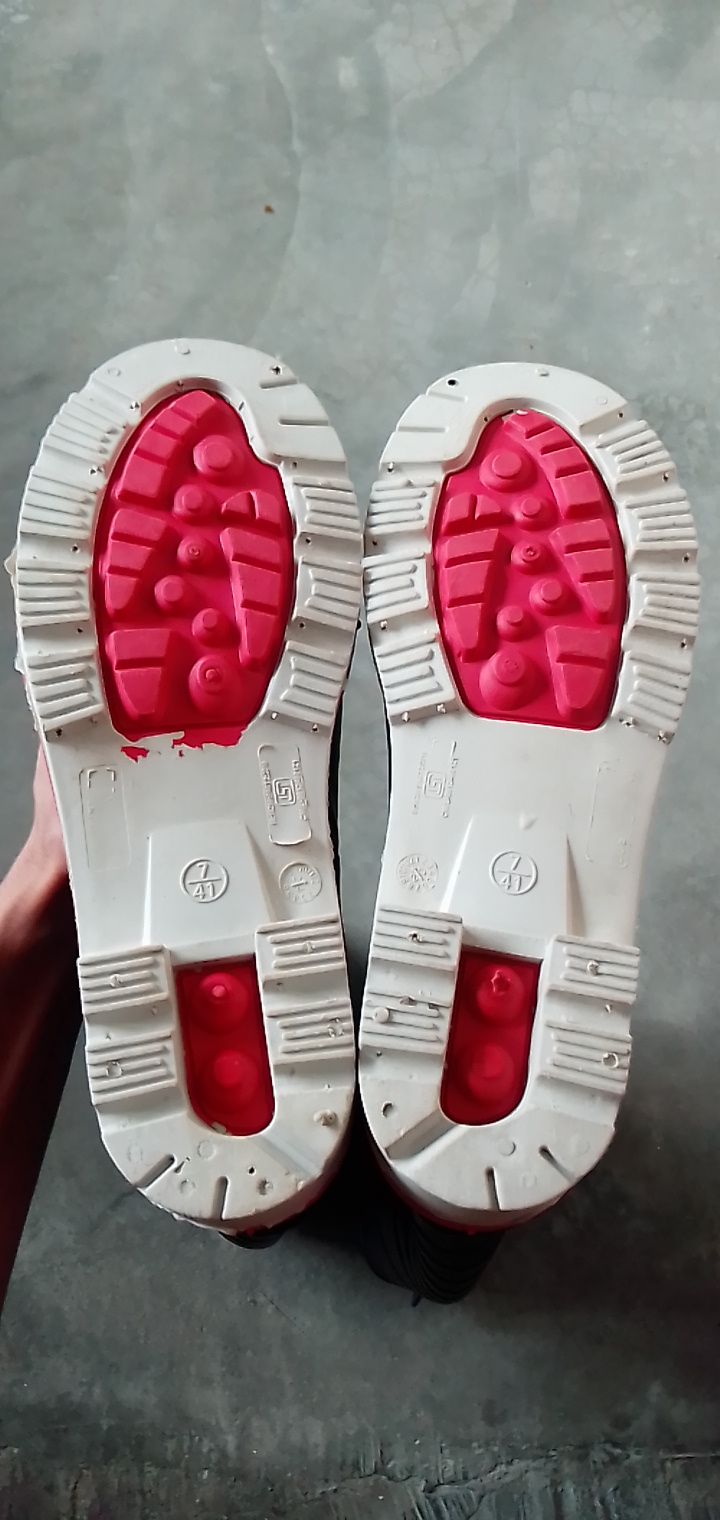 Customer Review Image