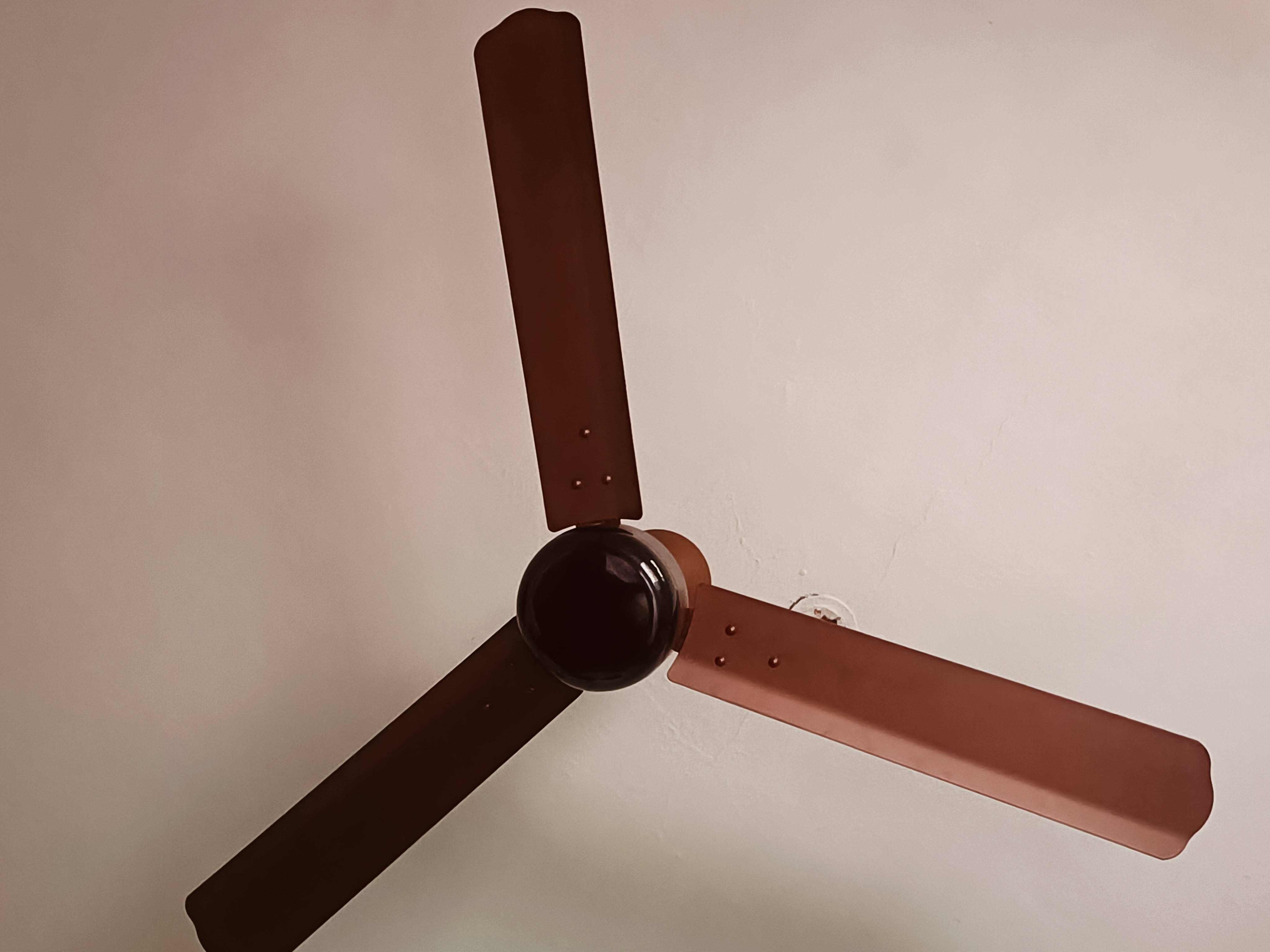 Customer Review Image