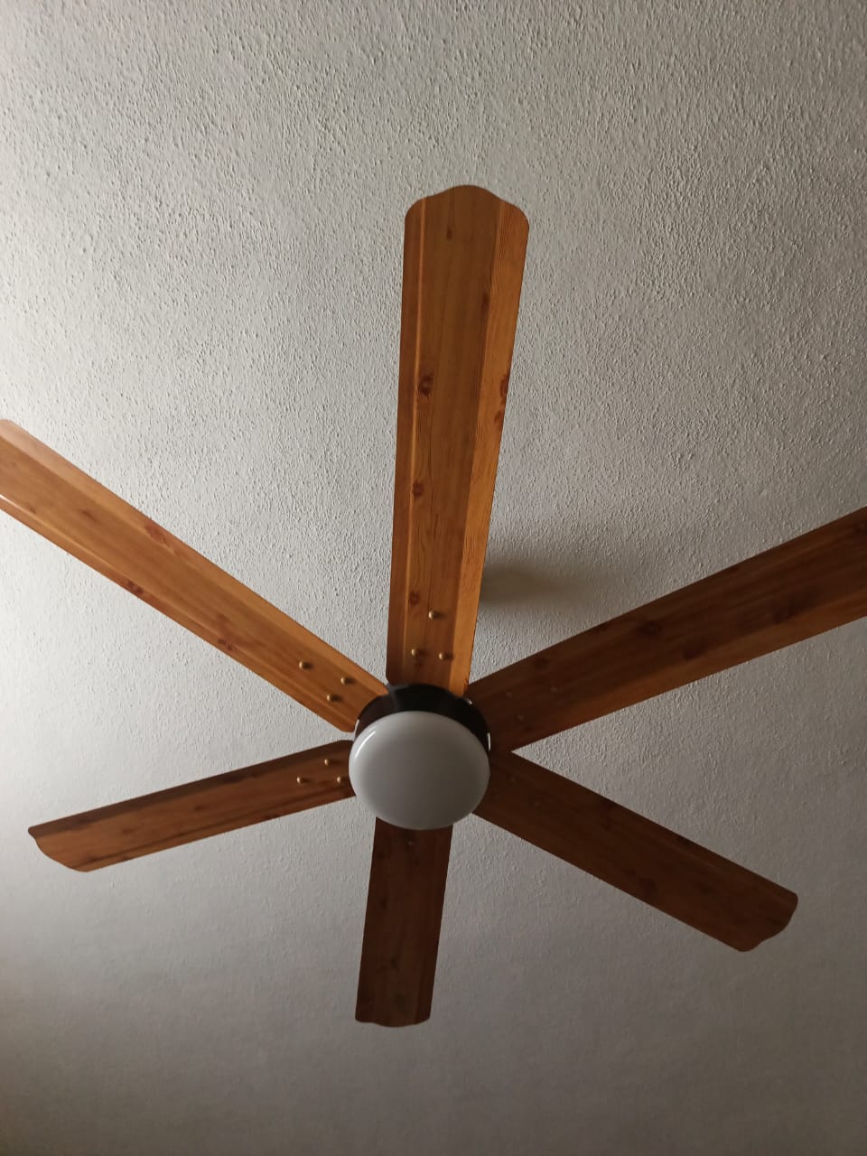 Customer Review Image