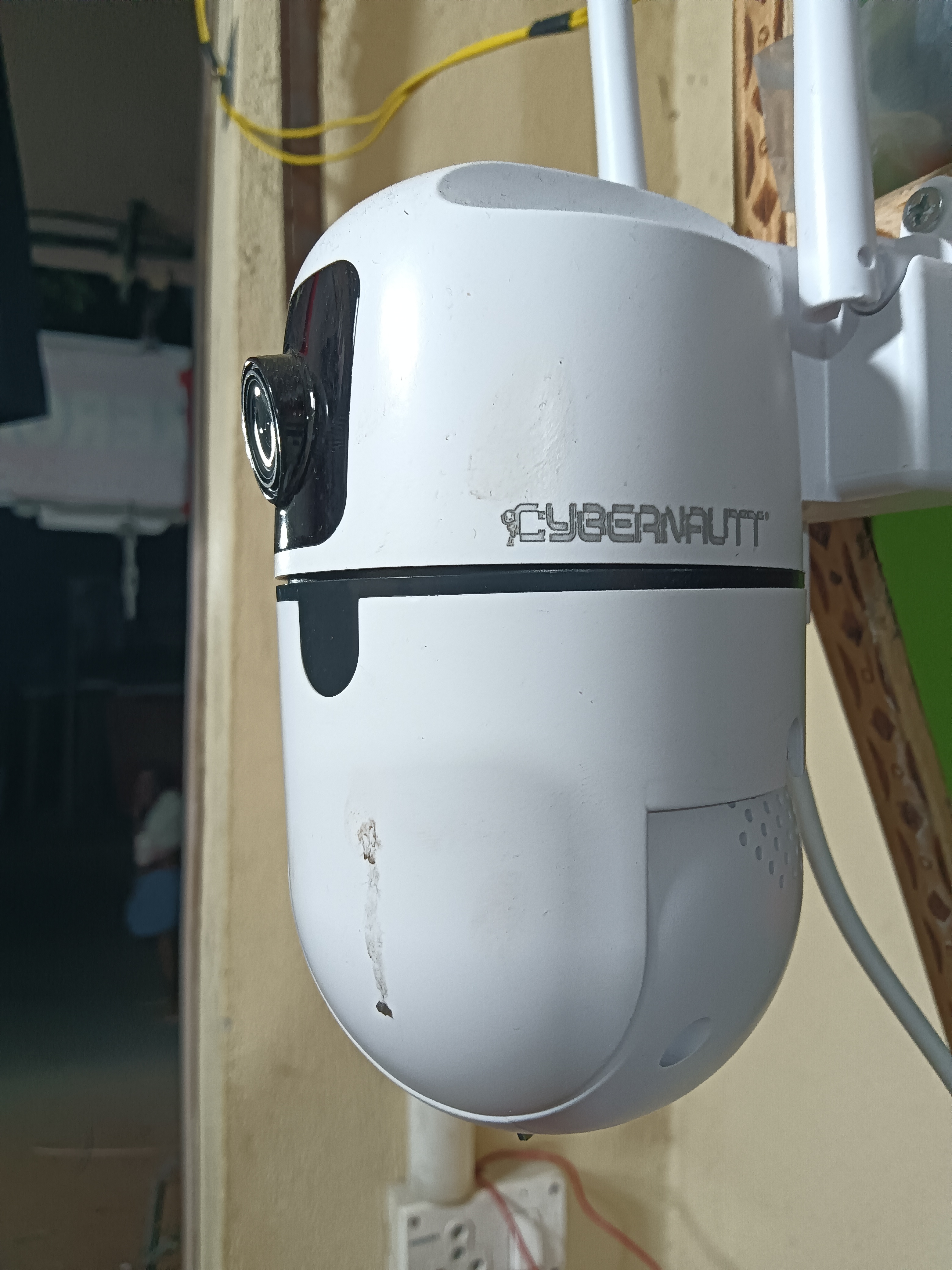 Customer Review Image