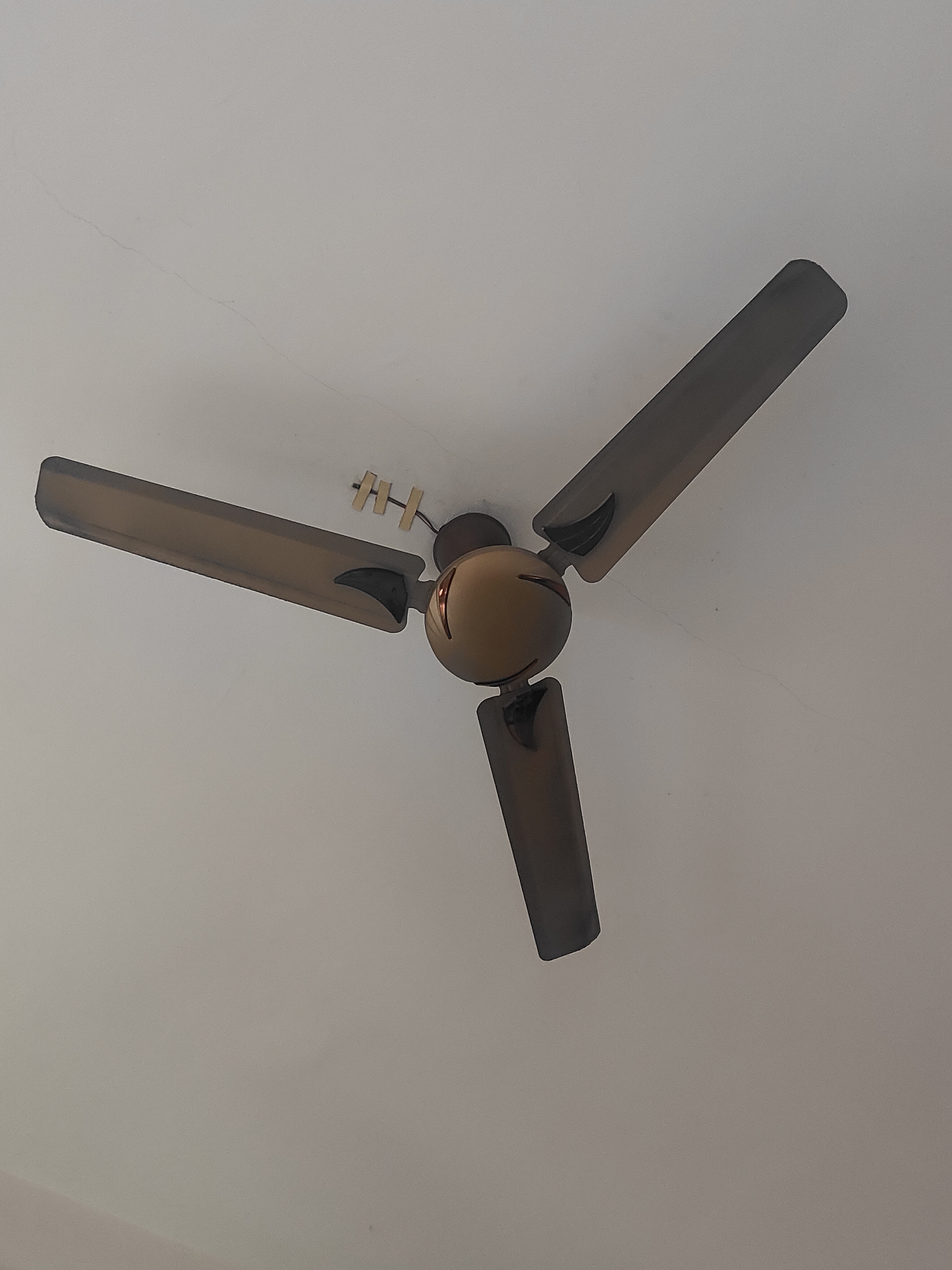 Customer Review Image