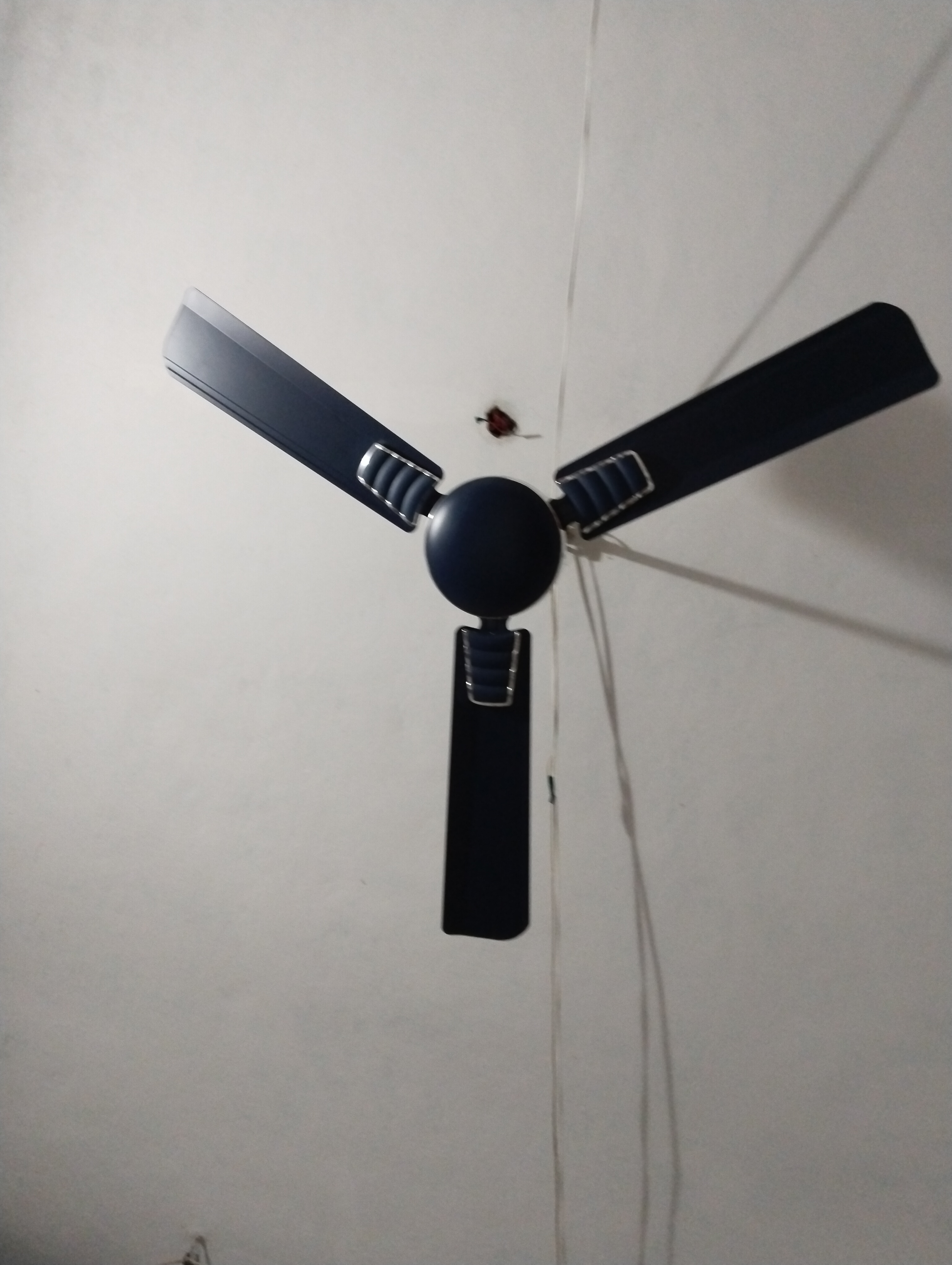Customer Review Image