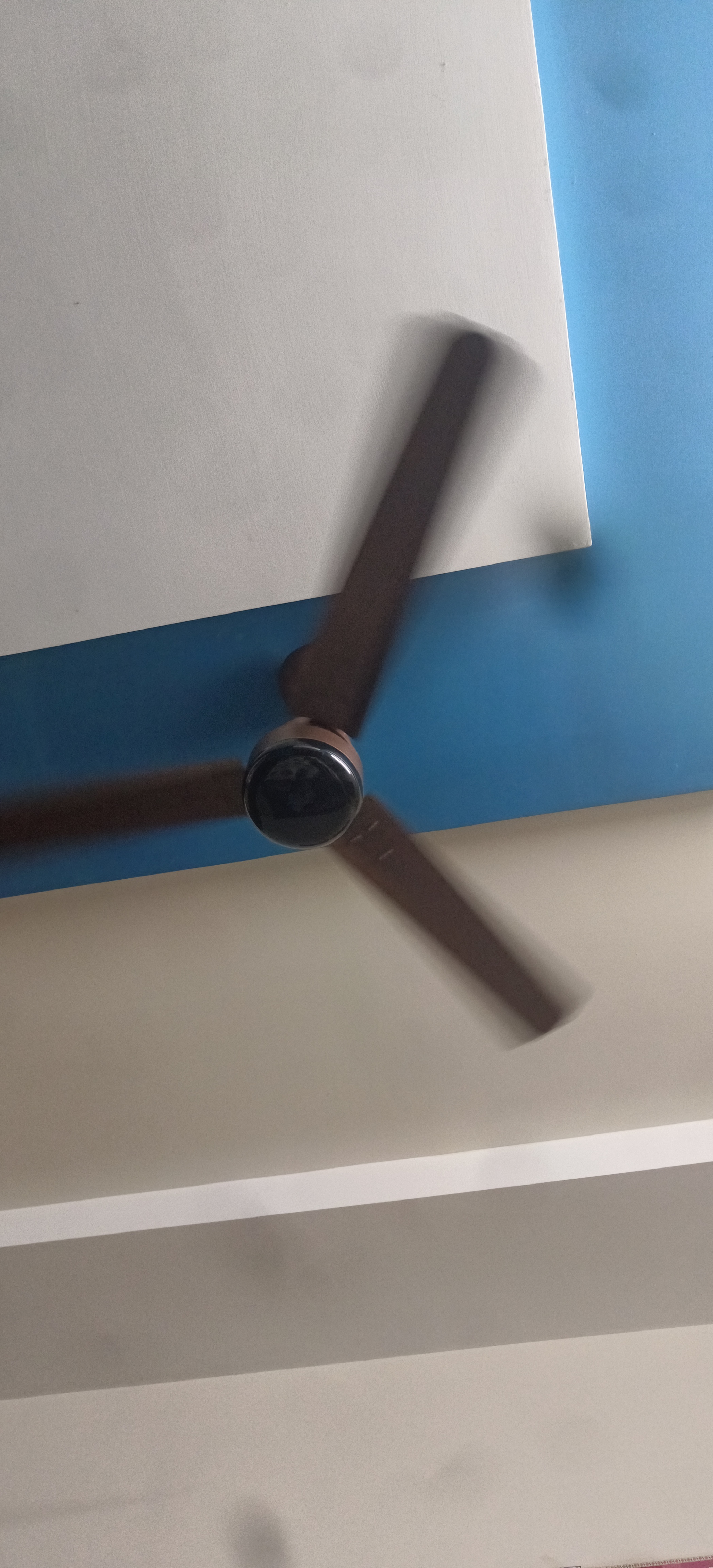 Customer Review Image